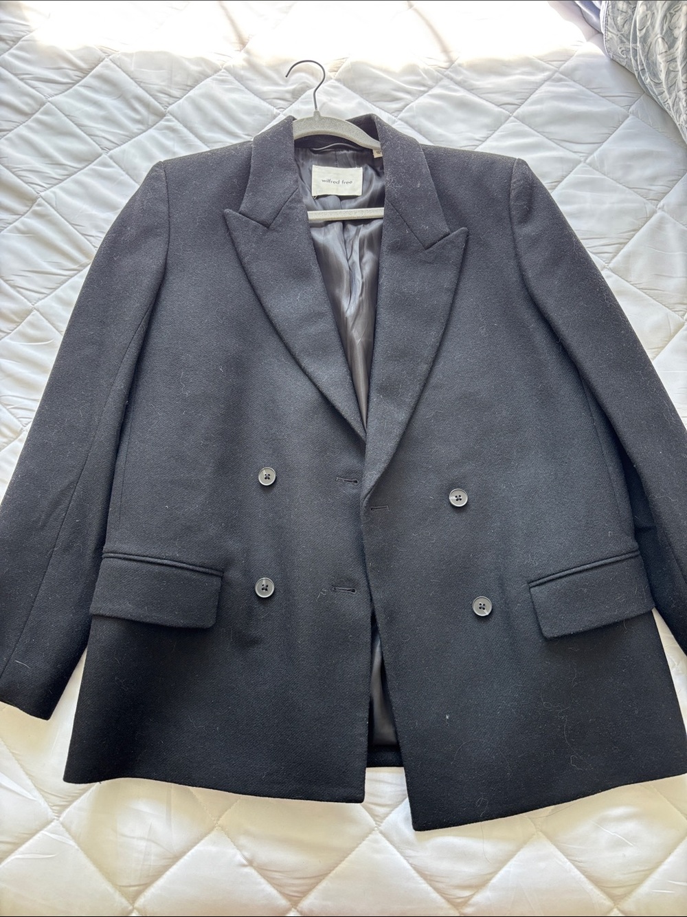 Aritzia Oversized Blazer